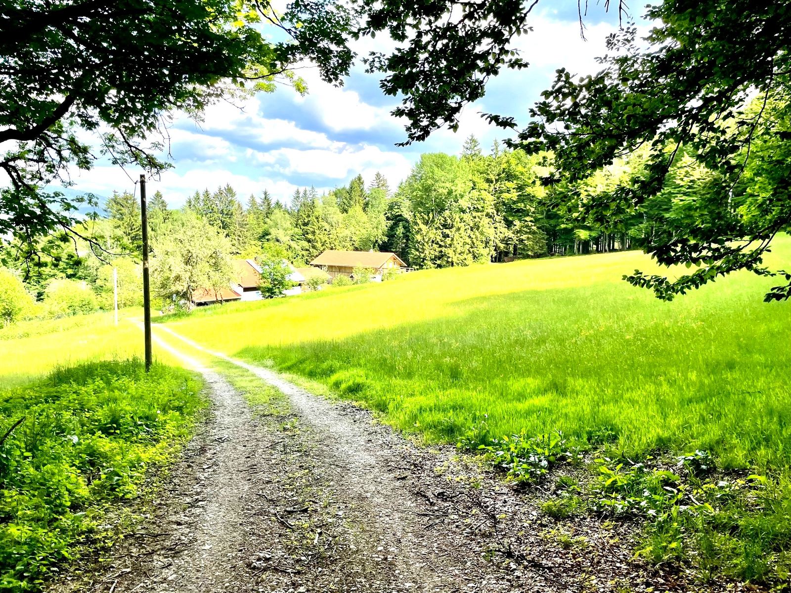 Zufahrt durch die Wiese zum Bauernhaus in der Ferne