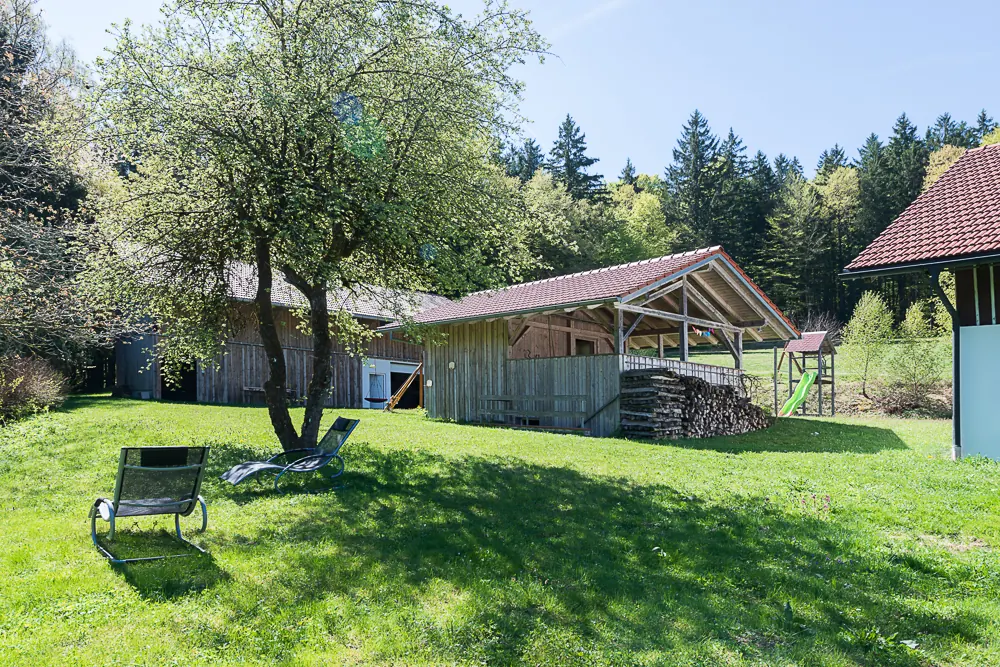 Obstbäume und Vogelhabitat