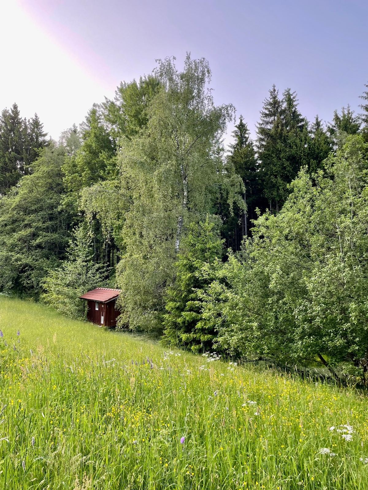Naturteiche im Gel&auml;nde