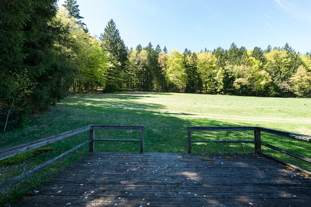 Naturteiche im Gelände